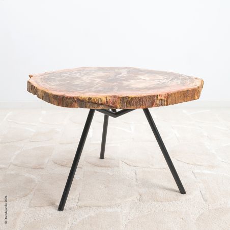 Table Basse Bois Fossilisé