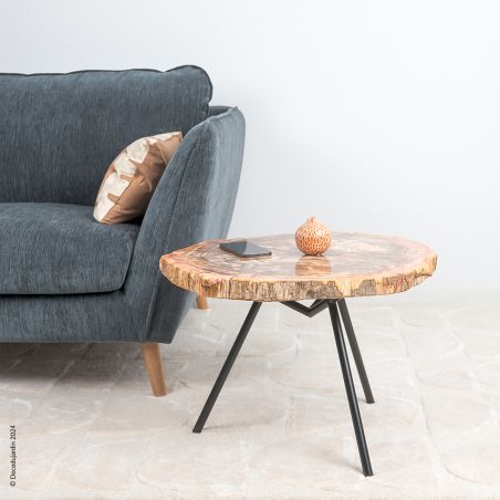 Table Basse Bois Fossilisé