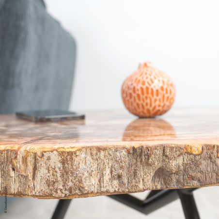 Table Basse Bois Fossilisé