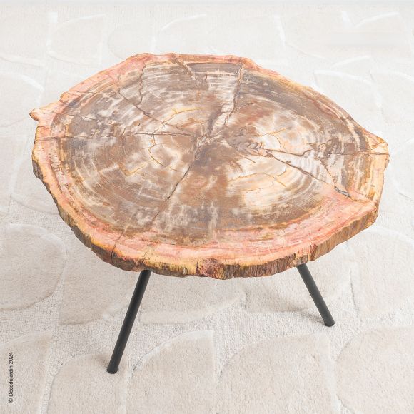 Table Basse Bois Fossilisé