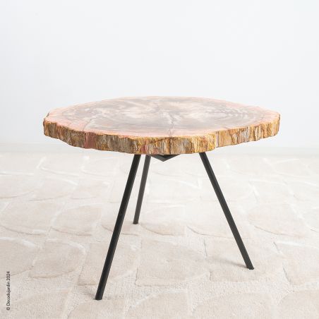 Table Basse Bois Fossilisé