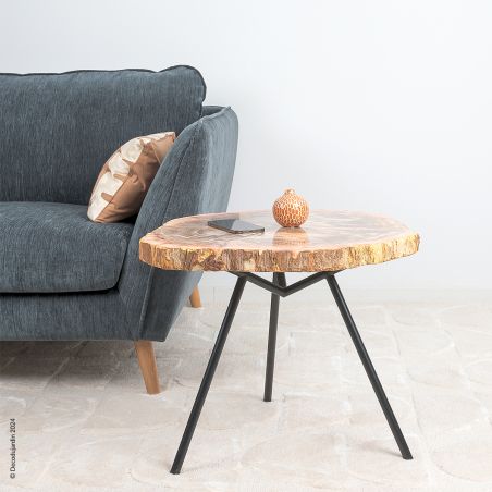 Table Basse Bois Fossilisé