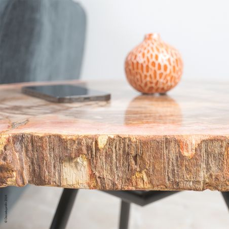 Table Basse Bois Fossilisé