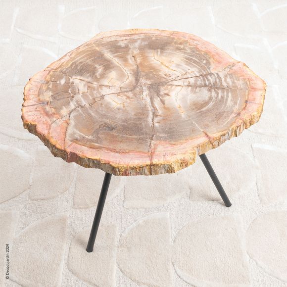 Table Basse Bois Fossilisé