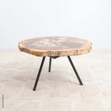 Table Basse Bois Fossilisé Aelia