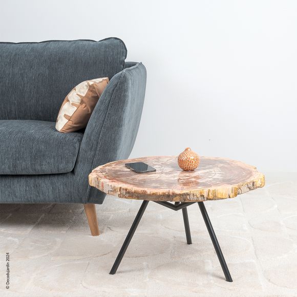 Table Basse Bois Fossilisé Aelia