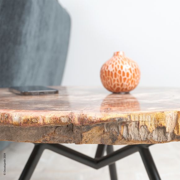 Table Basse Bois Fossilisé Aelia