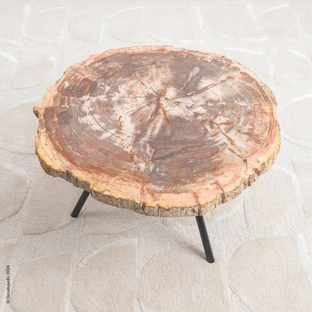 Table Basse Bois Fossilisé Aelia