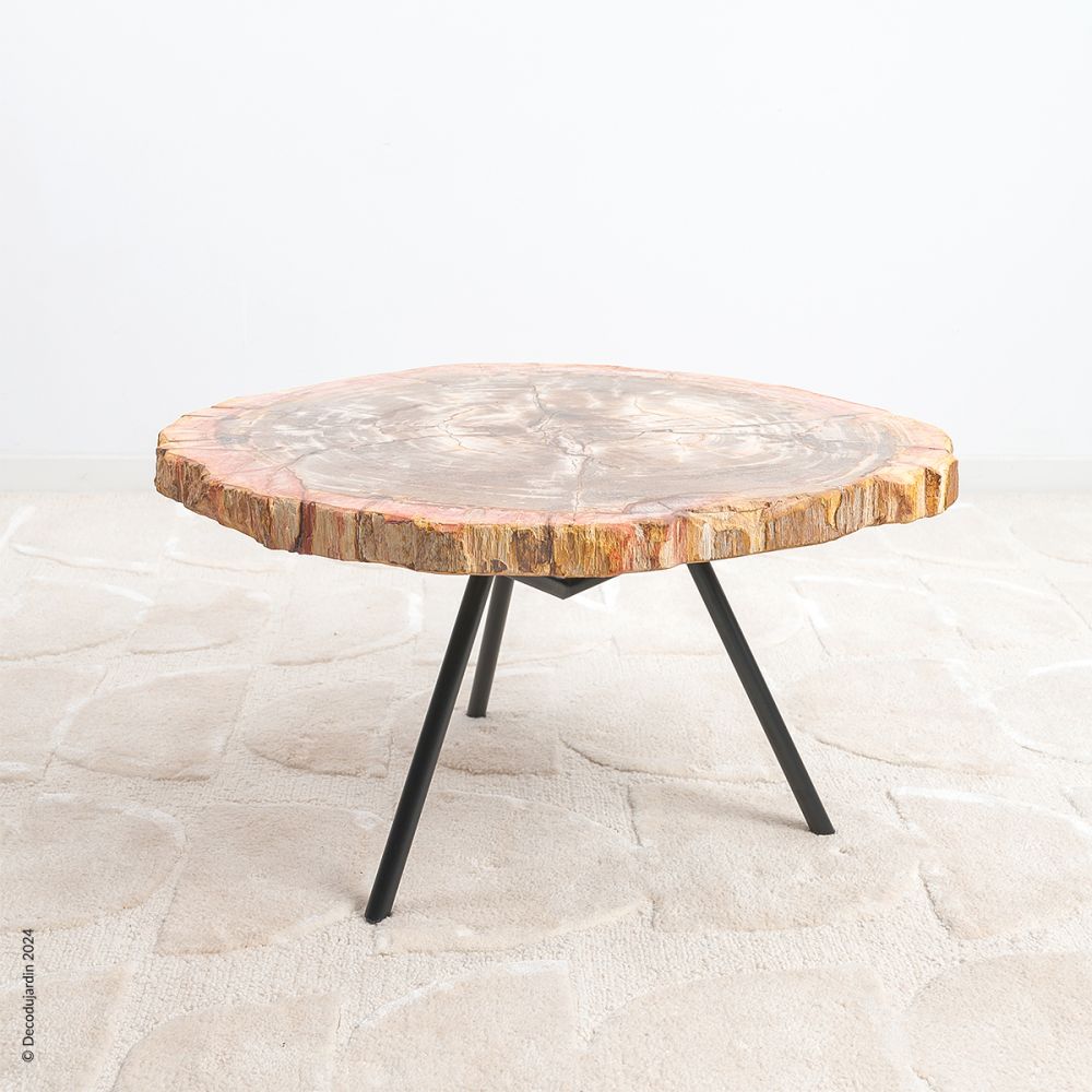 Table Basse Bois Fossilisé Dionysia