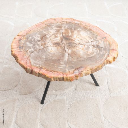 Table Basse Bois Fossilisé Dionysia