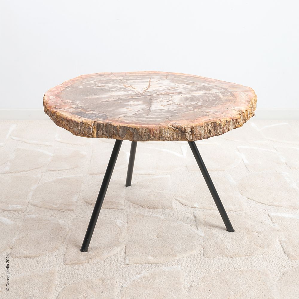 Table Basse Bois Fossilisé Electra