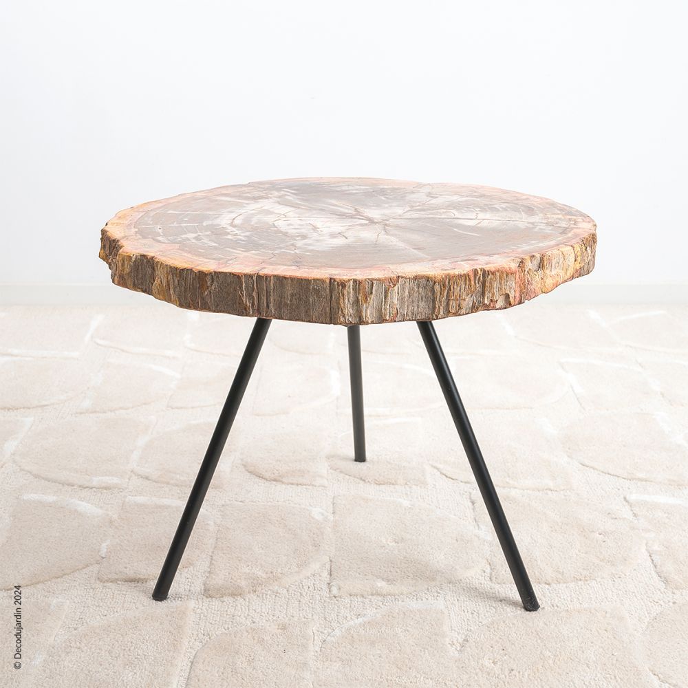 Table Basse Bois Fossilisé Faustinia