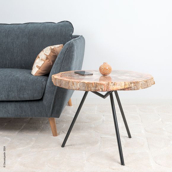 Table Basse Bois Fossilisé Faustinia