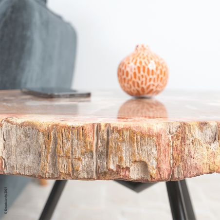 Table Basse Bois Fossilisé Faustinia