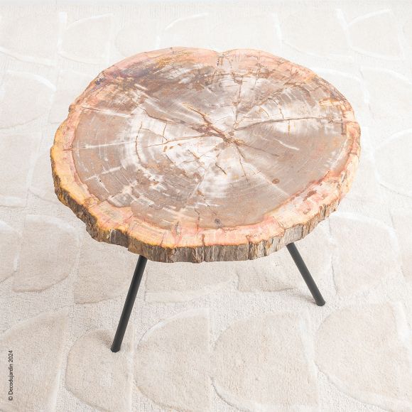 Table Basse Bois Fossilisé Faustinia