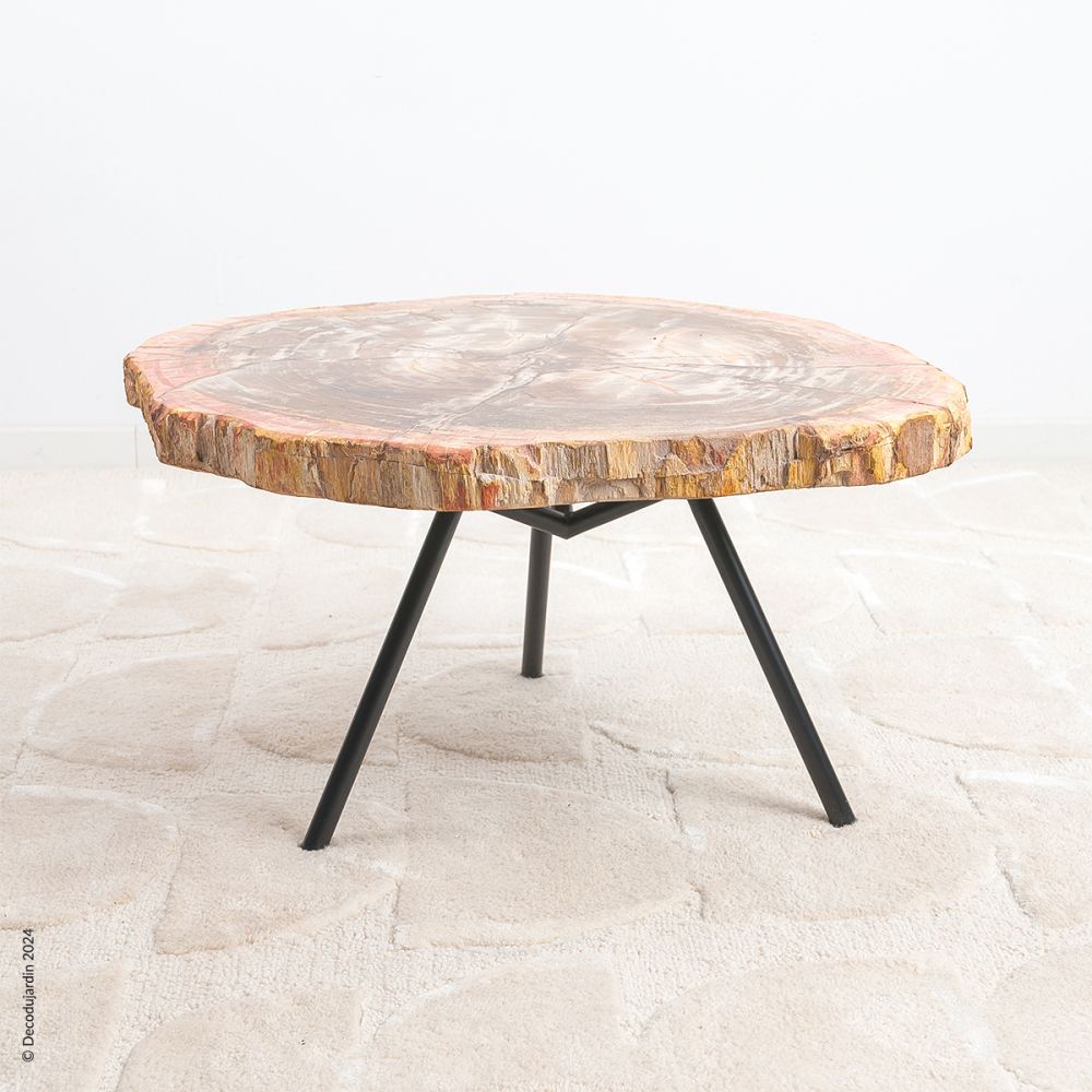 Table Basse Bois Fossilisé Gaia