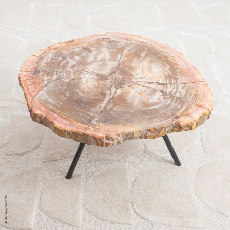 Table Basse Bois Fossilisé Gaia