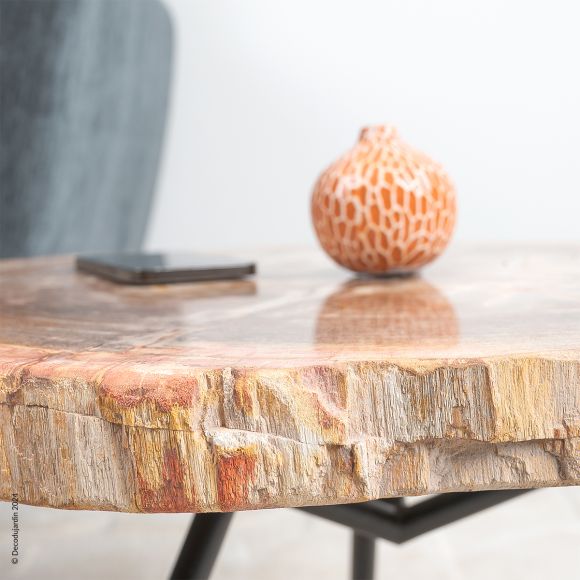 Table Basse Bois Fossilisé Gaia