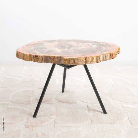 Table Basse Bois Fossilisé Hortense