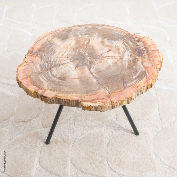 Table Basse Bois Fossilisé Hortense