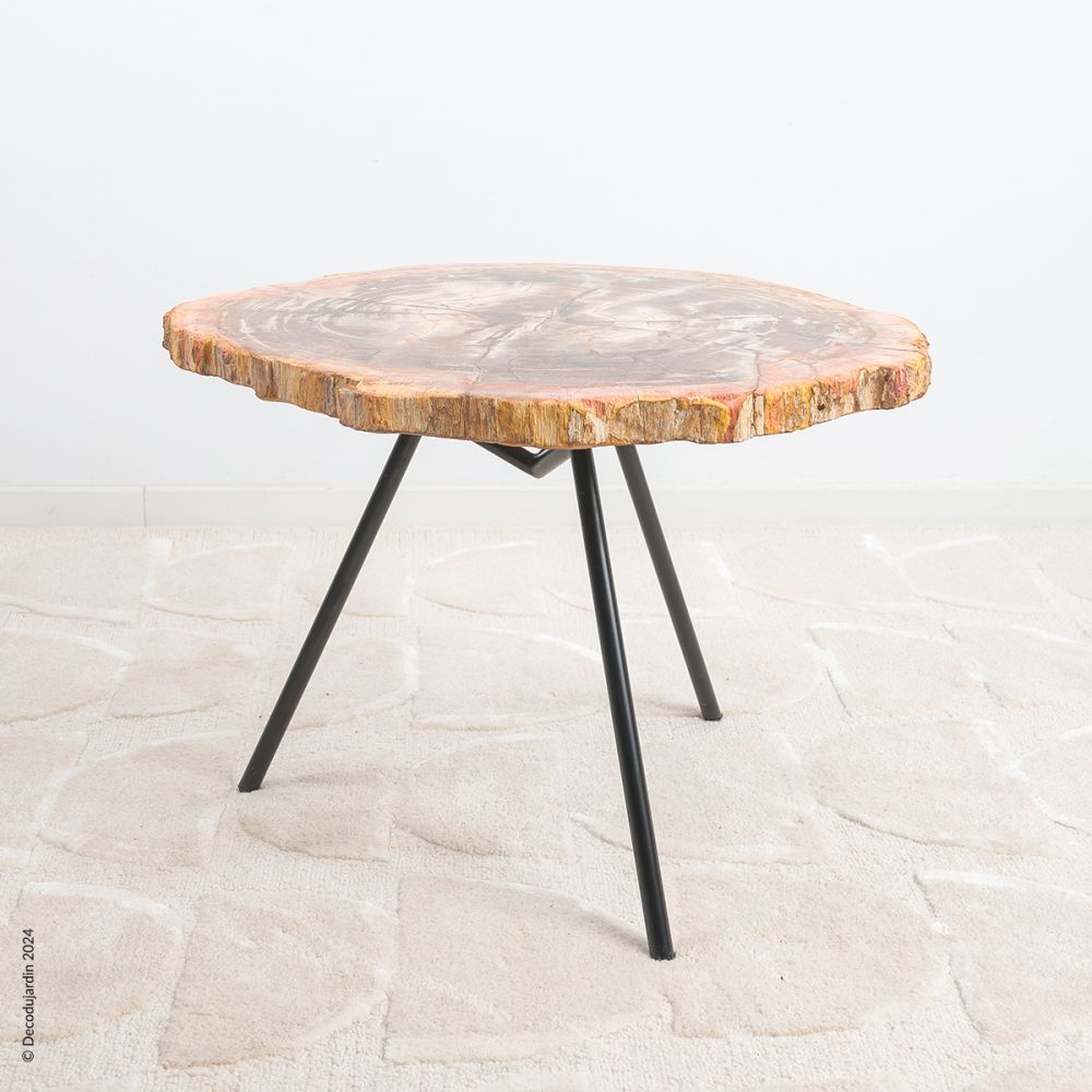 Table Basse Bois Fossilisé Izïa