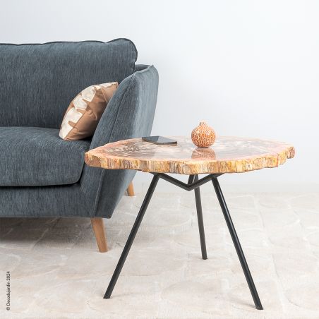 Table Basse Bois Fossilisé Izïa