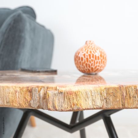 Table Basse Bois Fossilisé Izïa