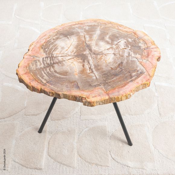 Table Basse Bois Fossilisé Izïa