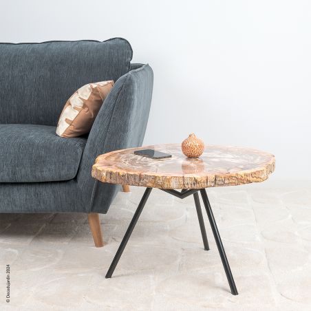 Table Basse Bois Fossilisé Electra