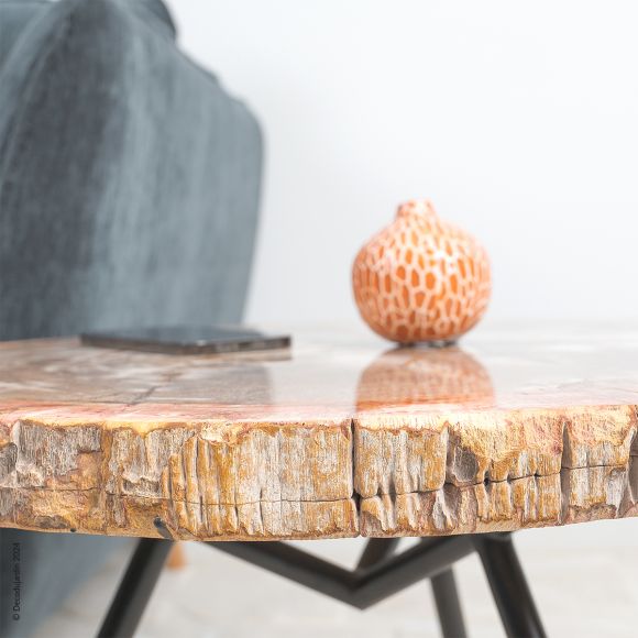 Table Basse Bois Fossilisé Electra