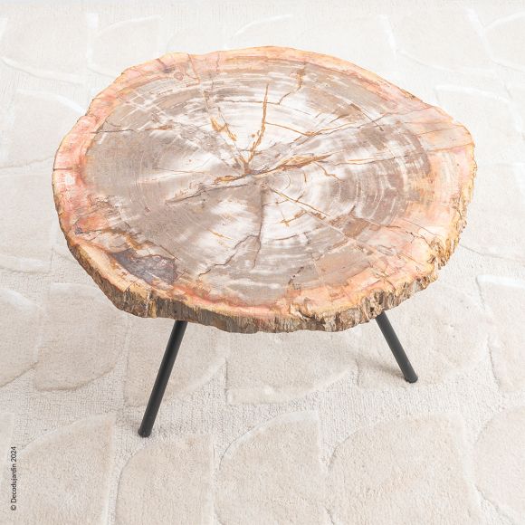 Table Basse Bois Fossilisé Electra