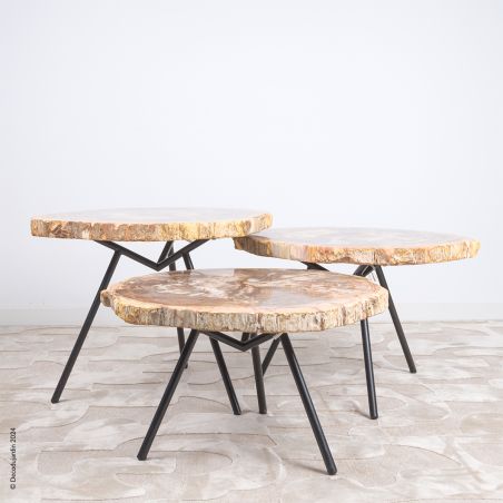 Table Basse Bois Fossilisé Aelia