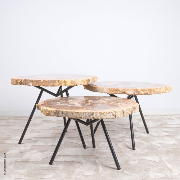 Table Basse Bois Fossilisé Baya