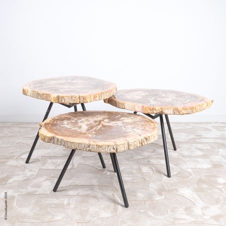 Table Basse Bois Fossilisé Electra