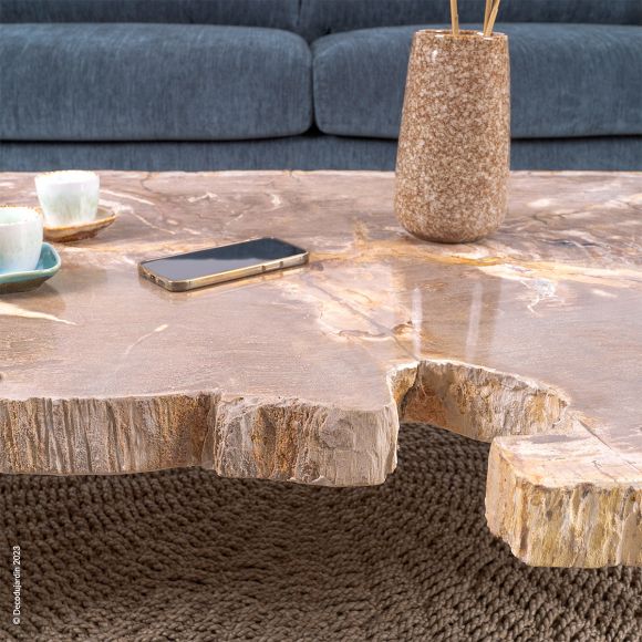 Table Basse Bois Fossilisé Antonia