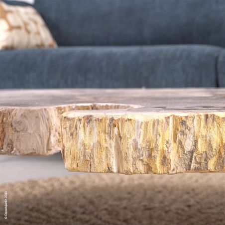 Table Basse Bois Fossilisé Antonia