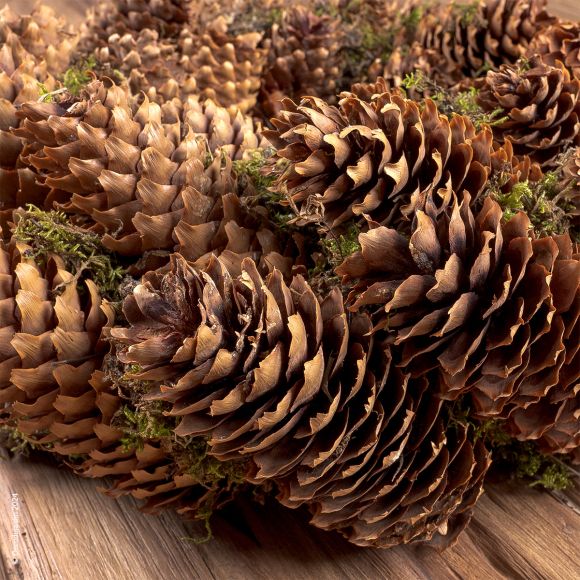 Couronne traditionnel de Noël, Cônes d'Épicéa naturels.